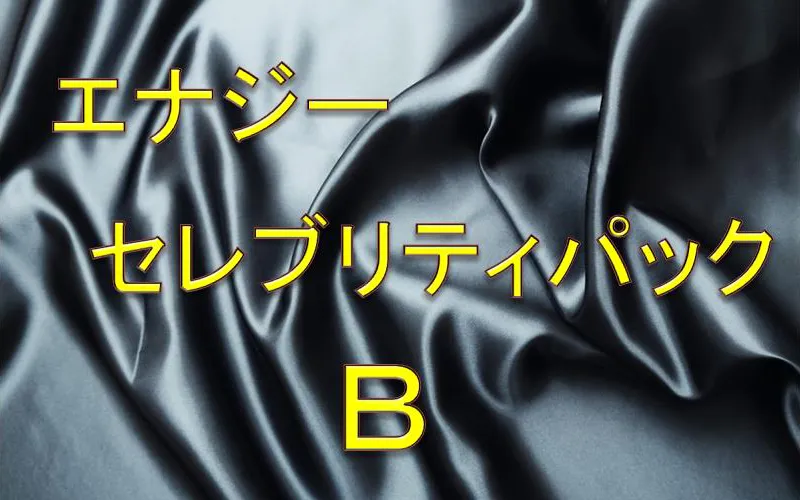エナジーセレブリティパックＢ